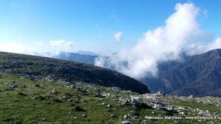nte Scuderi-23-11-2014 09-49-24